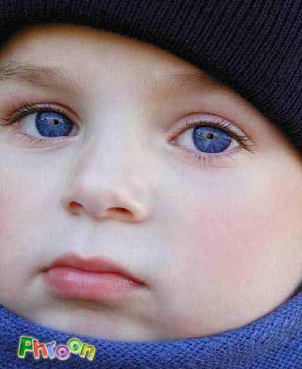 ����� .. ����